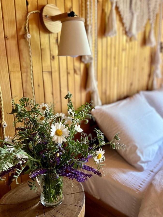 House Girska Rika Villa Korcsin Kültér fotó